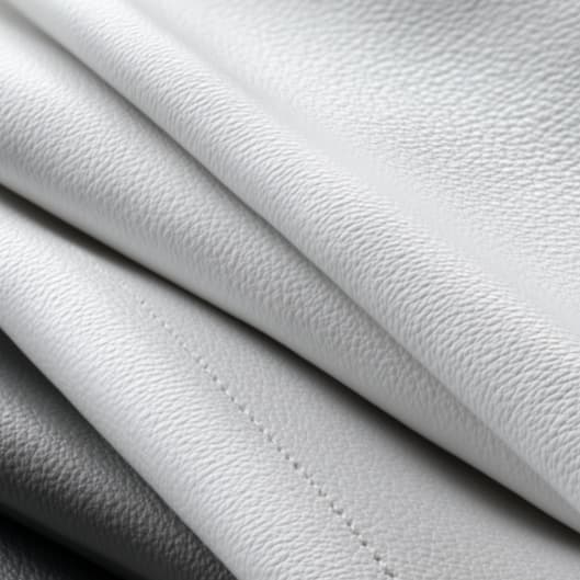 monthly blow out membership